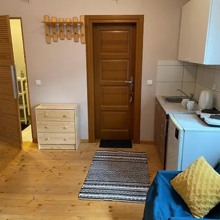 Studio Dla 2 Osob Pod Skocznia Zakopane
